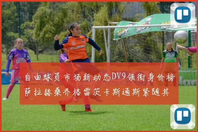自由球员市场新动态DV9领衔身价榜萨拉赫桑乔格雷茨卡斯通斯紧随其后